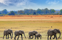 Experience Zambia